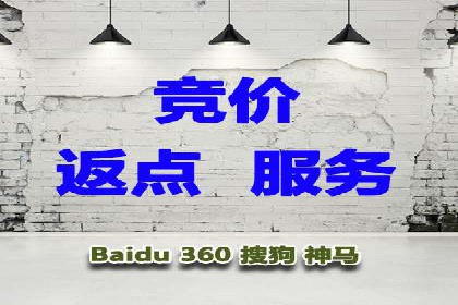 SEM代理助力品牌：案例解析，优化策略全揭秘